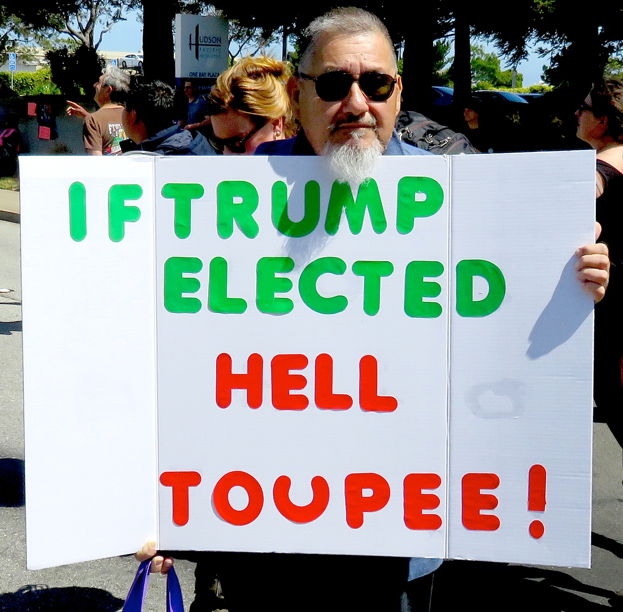 Image result for funny trump protest